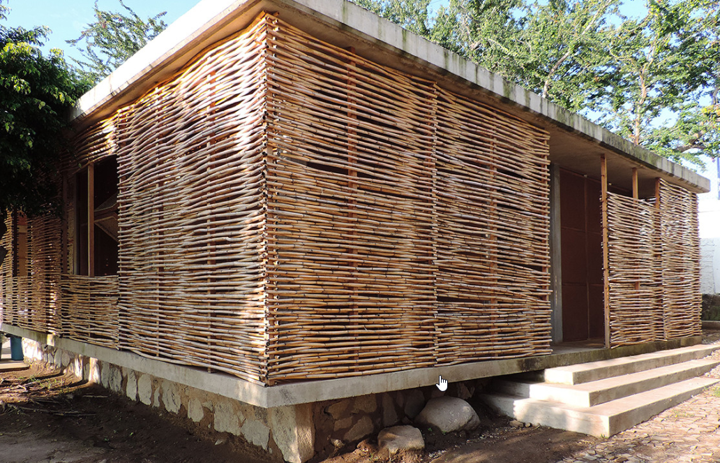 Transformación - Estructura de Bambú