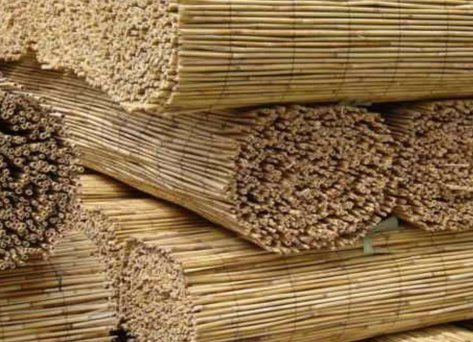 Unión - Bambú en Rollos